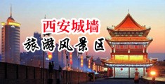 吃逼逼中国陕西-西安城墙旅游风景区